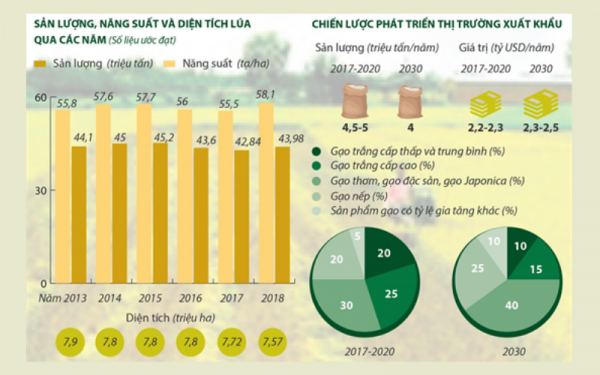 Sản lượng xuất khẩu lúa gạo tại Việt Nam 