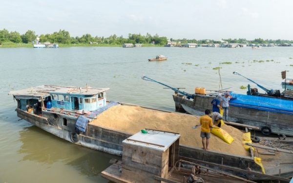 tình hình xuất khẩu gạo Việt Nam